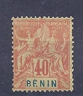 210039855  BENIN.  YVERT   Nº  42  */MH (NO GUM) - Used Stamps