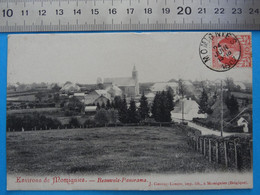 CPA De 1907 Environ De MOMIGNIES (Namur) Beauwels Panaroma Edit. J. Gerday-Lemye, Imp.-lib. à Momignies (Belgique) - Momignies