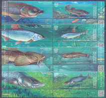 2021. Kyrgyzstan, Red Book, Fishes Of Kyrgyzstan, 4v With Labels, Mint/** - Kirgisistan