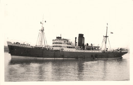 JOHN HOLT * Carte Photo * Bateau Cargo Paquebot Commerce Marine Marchande ? Compagnie Société Guinea Gulf Liverpool - Commerce