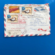 Nouméa Océanie Nouvelle-Calédonie 1978 Lettre Illustrée Recommandé Document-☛Timbres Concorde  Faune Flore-aff. Compsé - Covers & Documents