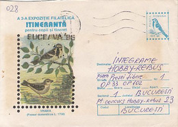 ANIMALS, BIRDS, HOUSE SPARROW, COVER STATIONERY, 1996, ROMANIA - Cernícalo