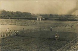 Tarbes * Carte Photo * Le Jardin Du 14ème Régiment D'artillerie * Concours 1917 * Potager * Militaria - Tarbes