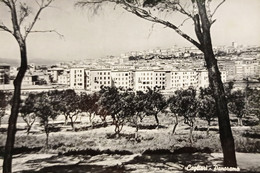 Cartolina Sardegna - Cagliari - Panorama - 1955 - Cagliari