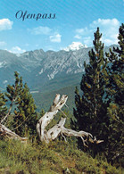 1 AK Schweiz * Ofenpass Im Kanton Graubünden Zwischen Zernez Im Engadin Und Dem Val Müstair - Blick Auf Den Ortler * - Val Müstair