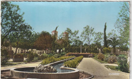 Delcampe - Seb : Maroc :  OUJDA : Jardin  Place  Mohammed 5 Et  église - Oujda