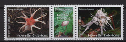 New Caledonia (2021) - Set -  /  Mushrooms - Funghi - Champignons - Setas - Funghi
