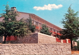 Delcampe - Cartolina - Pattada ( Sassari ) - Hotel La Pineta - 1974 - Sassari