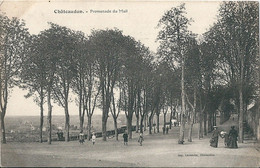 Delcampe - 3 Cpa De  CHATEAUDUN  ( 28 )  Promenade Du Mail,  Le Chateau, Vu De La Bassiere .Le Chateau . - Chateaudun