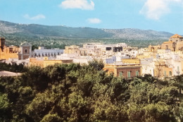 Delcampe - Cartolina - Fasano - Panorama - 1974 - Brindisi