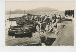 Delcampe - LES LECQUES De SAINT CYR - Le Port - Les Lecques