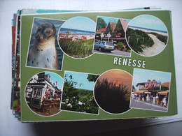 Nederland Holland Pays Bas Renesse In Het Groen Leuk - Renesse