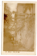Delcampe - Espagne -- SEVILLE --Calle Del Agua (  Animée,âne ) ..belle Carte Glacée.......à Saisir - Sevilla
