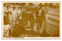 Delcampe - Espagne -- SEVILLE --Vendedor De Escobas (très Animée,âne)-métiers- ..belle Carte Glacée......à Saisir - Sevilla