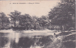 Delcampe - 92 - BOIS DE MEUDON - ETANG DE VILLEBON - Meudon