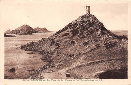 Delcampe - 20 - 2A - AJACCIO - La Tour De La Parata Et Les Sanguinaires - Ajaccio