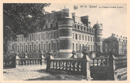 Delcampe - BELOEIL - Le Château (vu Dans Le Parc) - Belöil