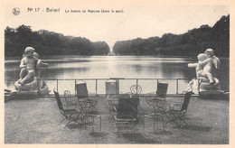 Delcampe - BELOEIL - Le Bassin De Neptune (dans Le Parc). - Belöil