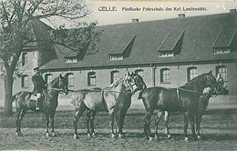 Delcampe - 11616 -  Ansichtskarten  VINTAGE POSTCARD -  Deutschland -  CELLE - Celle