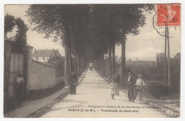 Delcampe - 77 - REBAIS +++ Promenade De Saint-Aile +++ - Rebais