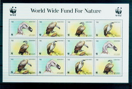 Delcampe - Lesotho 1998 Fauna-Animals-WWF-birds ,cape Vulture - Lesotho (1966-...)