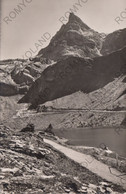 CARTOLINA  BENNALP,NIDWALD,SVIZZERA,SEE MIT SATTELISTOCK,VIAGGIATA 1952 - Sonstige & Ohne Zuordnung