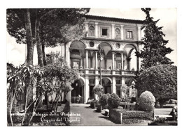 Delcampe - 12967 " RIETI-PALAZZO DELLA PREFETTURA-LOGGIA DEL VIGNOLA " ANIMATA-VERA FOTO-CARTOLINA SPEDITA 1959 - Rieti