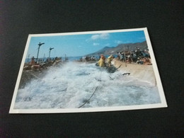 Delcampe - LA TONNARA LA TRADIZIONALE PESCA DEL TONNO ISOLE EGADI I PESCATORI IN AZIONE - Fischerei