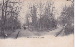 Delcampe - 78 - LE VESINET  ROUTE DE CROISSY - - Le Vésinet