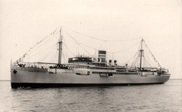 Delcampe - JAMAICA PRODUCER * Carte Photo * Bateau Cargo Paquebot Commerce Marine Marchande ? Compagnie Société - Handel