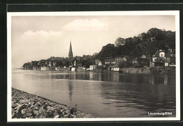 AK Lauenburg /Elbe, Partie An Der Elbe - Lauenburg