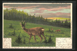 Künstler-AK Alfred Mailick: Rehe Auf Dem Feld - Mailick, Alfred