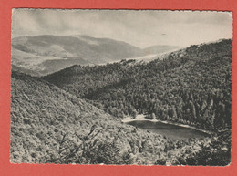 Delcampe - CP REGION ALSACE 48 Collection " Site D'Alsace "- Lac Du Ballon - Alsace