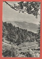 Delcampe - CP REGION ALSACE 54 Collection " Site D'Alsace "- Montée Au Roedelen - Alsace