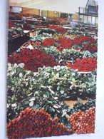 Delcampe - AALSMER - Aalsmeer