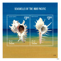 Delcampe - Palau 2014 Seashells ,  Shells - Palau