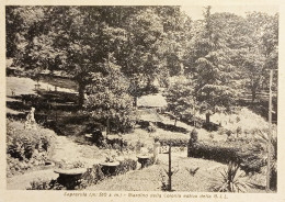 Delcampe - Cartolina - Caprarola - Giardino Della Colonia Estiva Della G. I. L. - 1935 Ca. - Viterbo