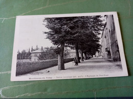 A3- L'ESPLANADE DU PETIT-FOSSÉ - Montfaucon En Velay