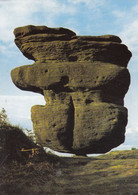 Postcard The Idol Rock Brimham Rocks Nr Harrogate My Ref B24932 - Harrogate