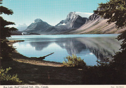 A11497- BOW LAKE, ICEFIELD HIGHWAY, BOW PEAK, CROWFOOT MOUNTAIN BANFF NATIONAL PARK ALBERTA CANADA POSTCARD - Banff