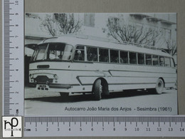 Delcampe - PORTUGAL - AUTOCARRO JOÃO MARIA DOS ANJOS -  SESIMBRA -   2 SCANS  - (Nº44002) - Setúbal