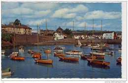 PAIGNTON - The Harbour, Panorama, Used - Paignton