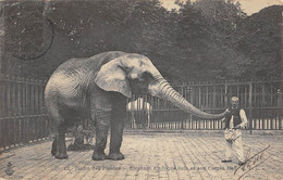 CPA 75 PARIS JARDIN DES PLANTES SAID L'ELEPHANT D'AFRIQUE SAID ET SON CORNAC - Other & Unclassified