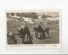 Delcampe - VALL'S D'ANDORRA 293 PAS DE LA CASA (ALT 2085 M) PASTURATGE  (CHEVAUX) - Andorra