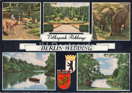 Berlin - Volkspark Rehberge - Berlin Wedding - Deer - Freilichtbuhne - Animals - Germany - Unused - Wedding