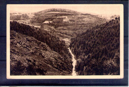 43. Environs De Montfaucon. Vue Panoramique Des Gorges De La Dunieres Et Du Pont De La Vache - Montfaucon En Velay