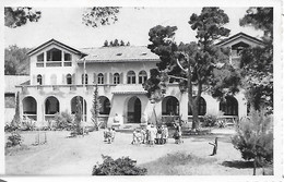 Delcampe - GIENS ( 83 ) - " La Pinède " - Hyeres