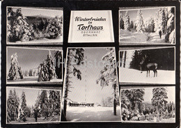 Winterfreuden In Torfhaus Oberharz 811 M - 1968 - Germany - Used - Altenau