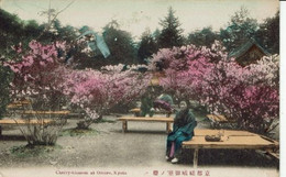 Delcampe - JAPAN-JAPON-KYOTO-CHERRY -BLOSSOM AT OMURO - Kyoto
