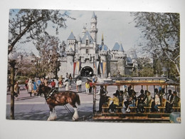 Delcampe - DISNEYLAND ANAHEIM CALIFORNIA - Belle Animation - Disneyland